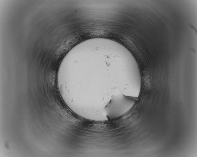 X0000100770458200807101756
