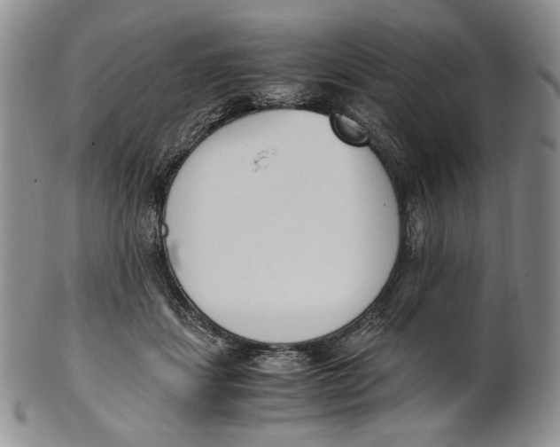 X0000100770459200807101756