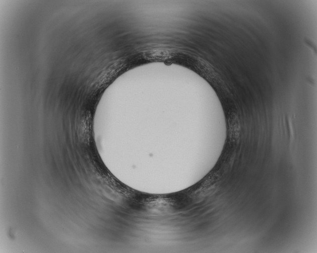 X0000100770460200807101756