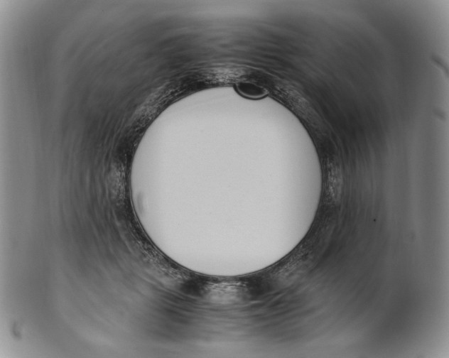 X0000100770461200807101756