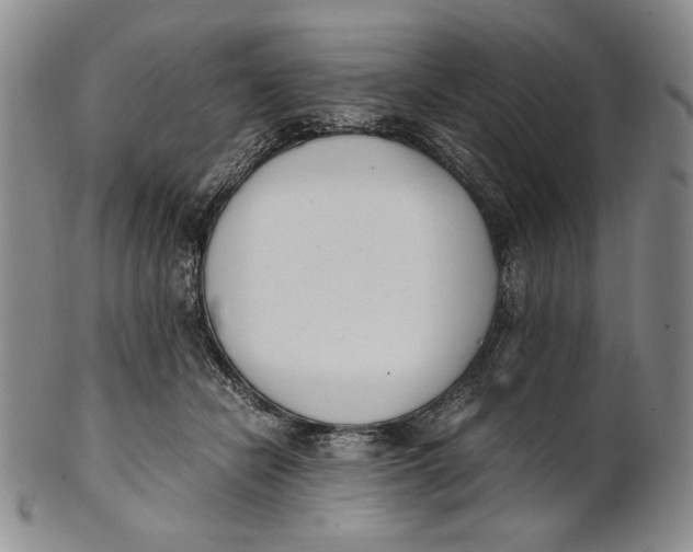 X0000100770462200807101756