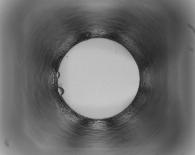 X0000100770463200807101756