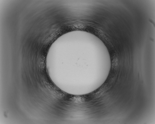 X0000100770464200807101756