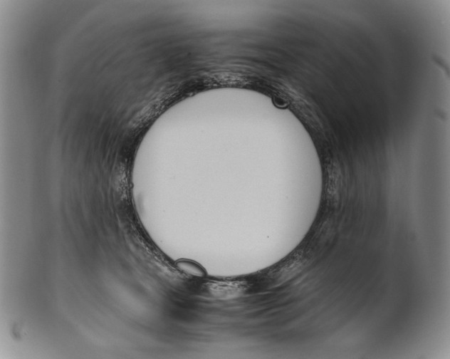 X0000100770465200807101756