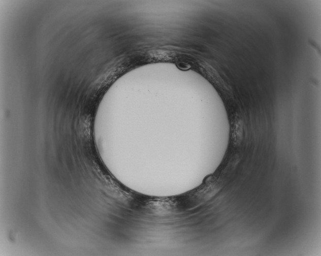 X0000100770466200807101756
