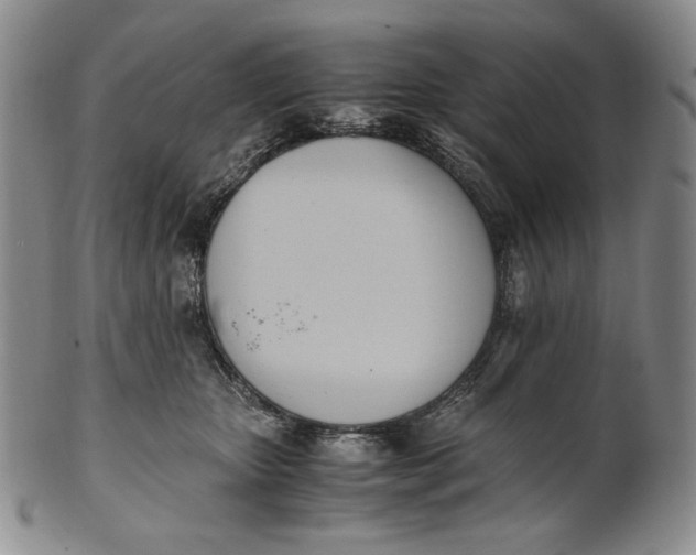X0000100770467200807101756