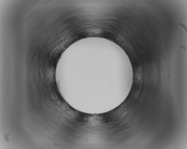 X0000100770468200807101756