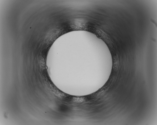 X0000100770469200807101756