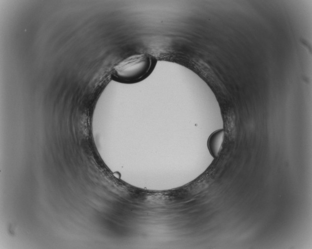 X0000100770470200807101756