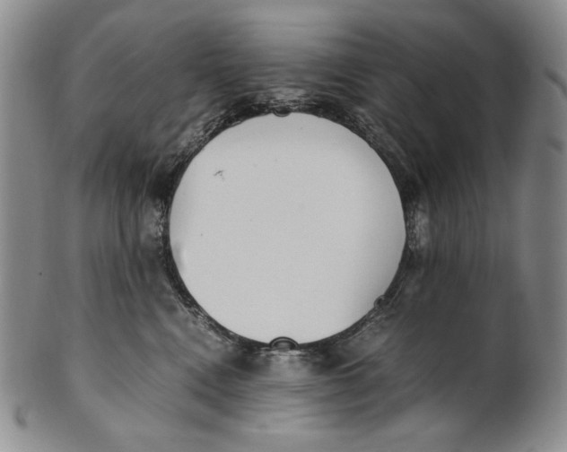 X0000100770472200807101756