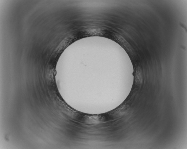 X0000100770473200807101756
