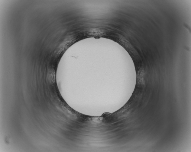 X0000100770474200807101756