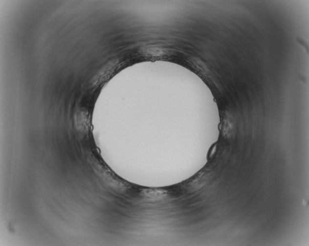 X0000100770476200807101756