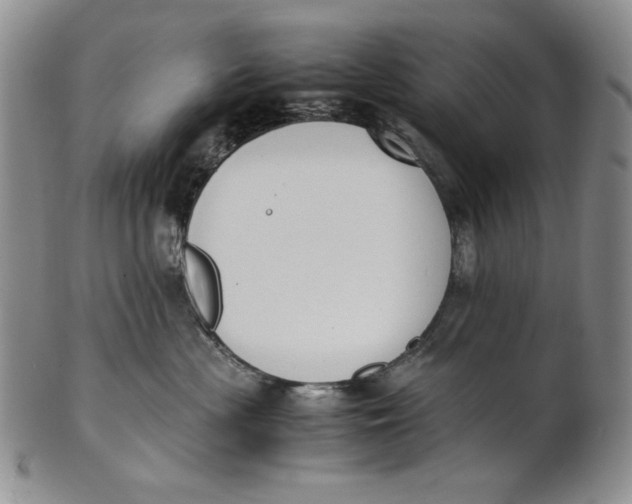 X0000100770477200807101756