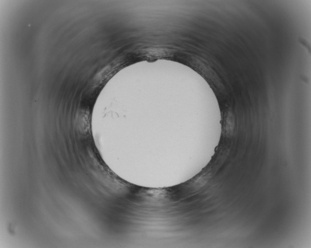 X0000100770478200807101756