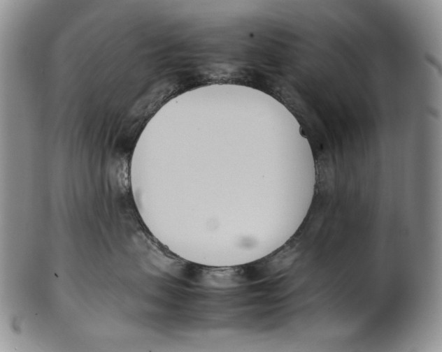 X0000100770479200807101756