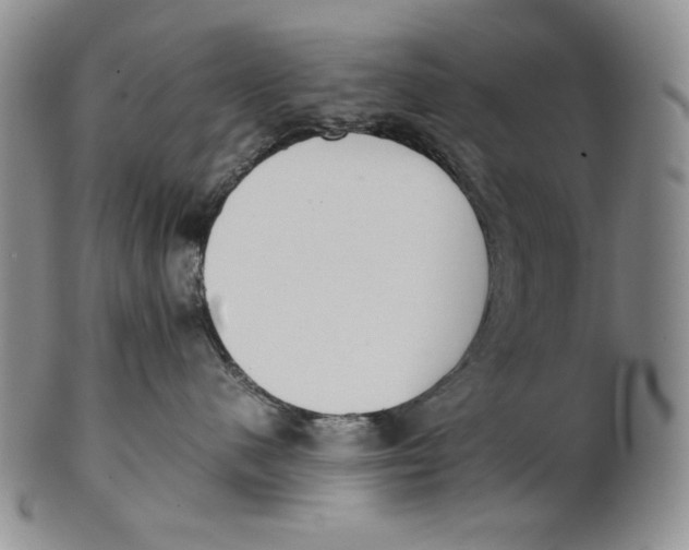 X0000100770480200807101756