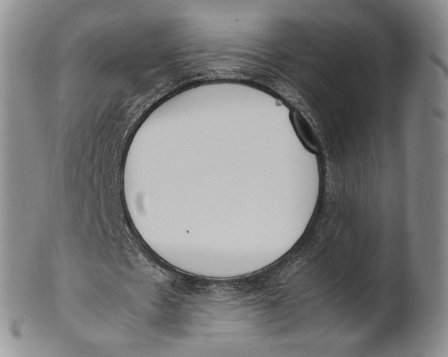 X0000100770481200807101755