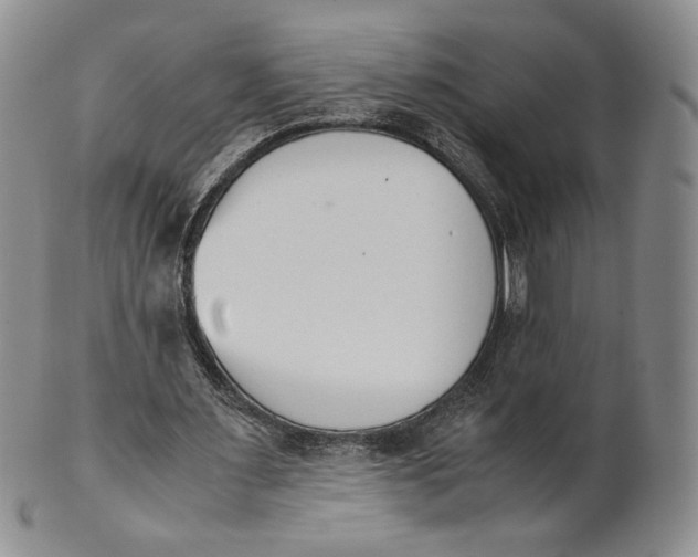X0000100770483200807101755