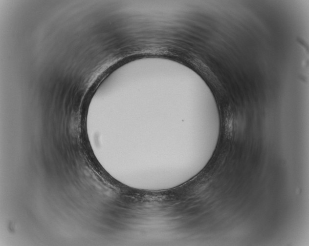 X0000100770484200807101755