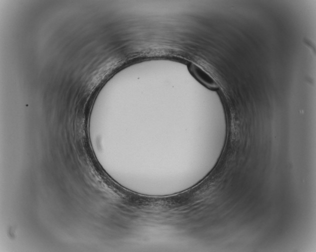 X0000100770485200807101755