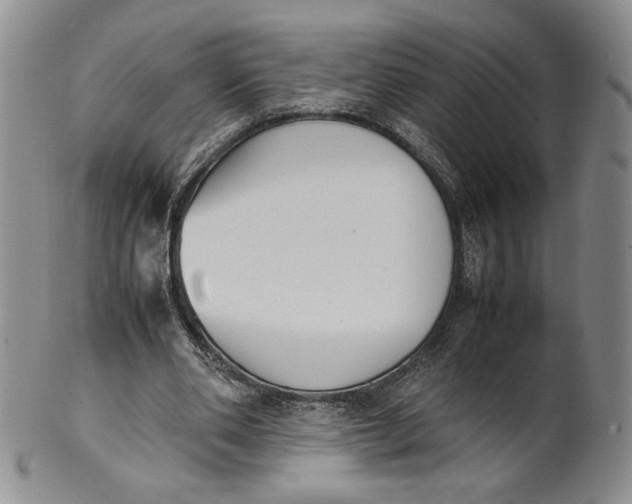 X0000100770486200807101755