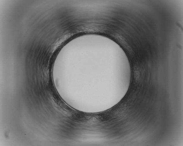 X0000100770488200807101755