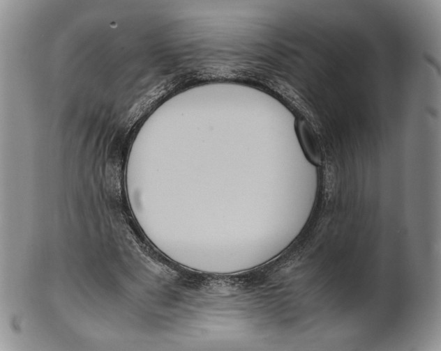 X0000100770489200807101755