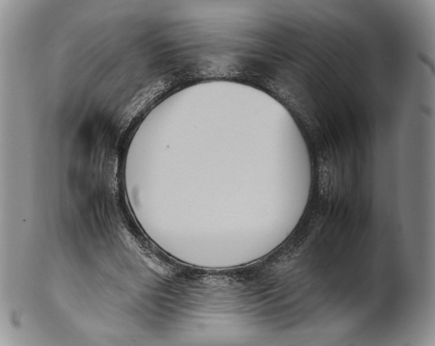 X0000100770490200807101755