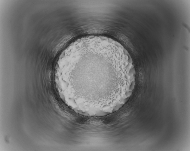 X0000100770491200807101755