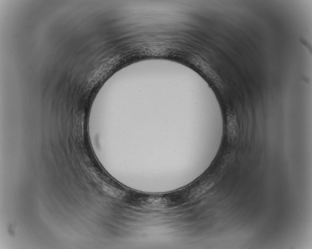 X0000100770493200807101755