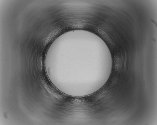 X0000100770494200807101755