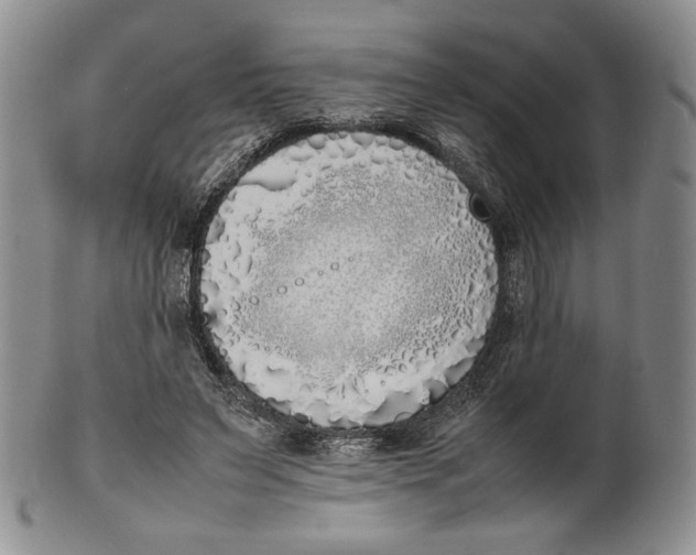 X0000100770495200807101755