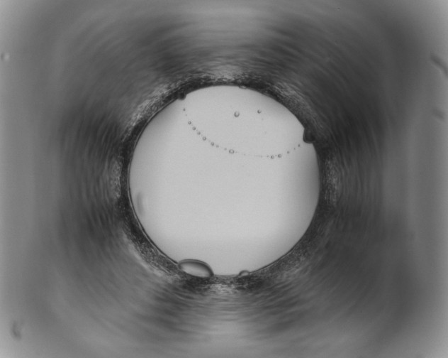 X0000100770496200807101755