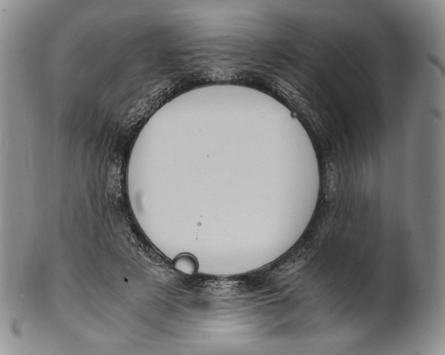X0000100770497200807101755