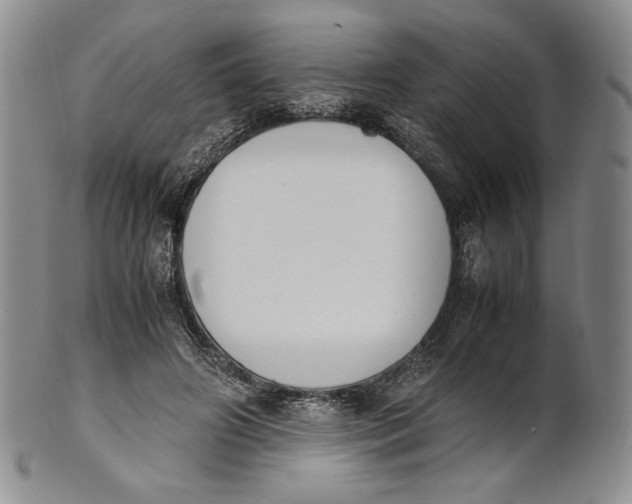 X0000100770498200807101755
