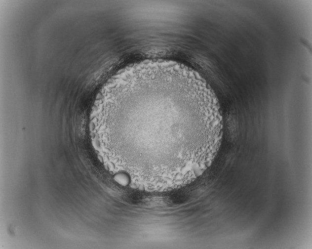 X0000100770499200807101755