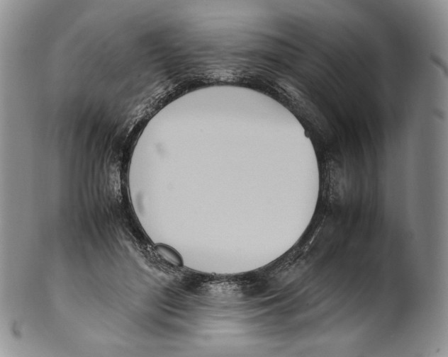 X0000100770500200807101755