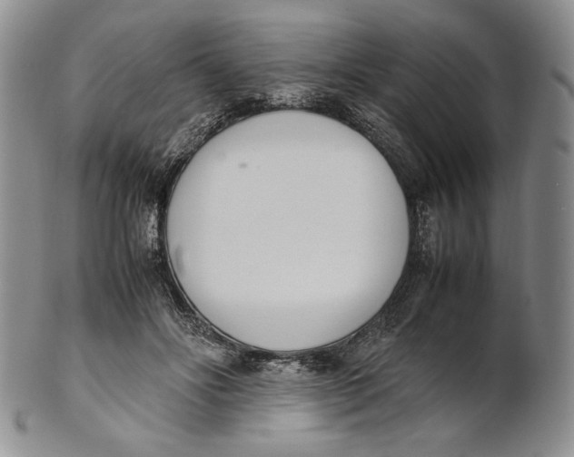 X0000100770502200807101755