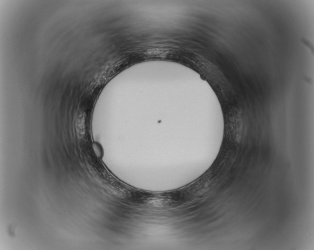 X0000100770504200807101755