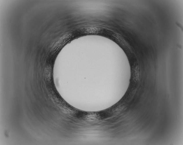 X0000100770505200807101755