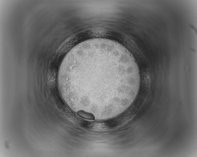 X0000100770507200807101755