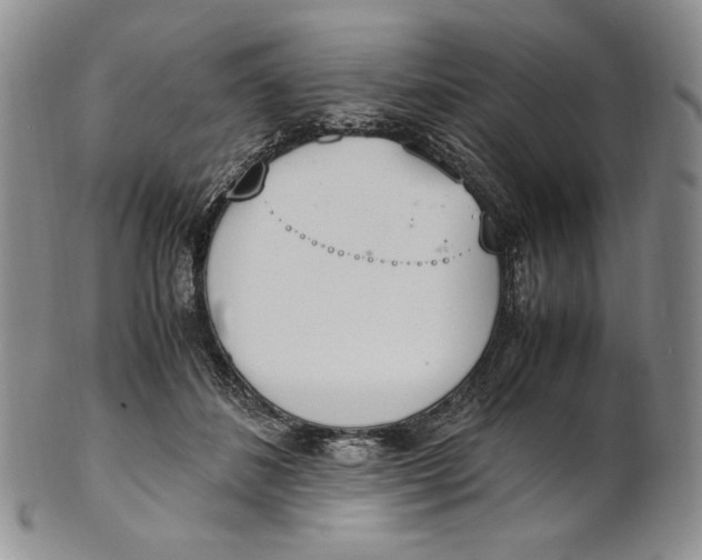 X0000100770508200807101755