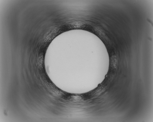 X0000100770509200807101755