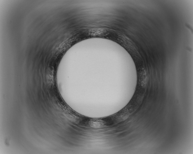 X0000100770510200807101755