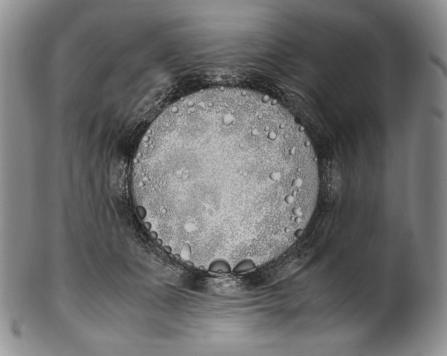 X0000100770511200807101755