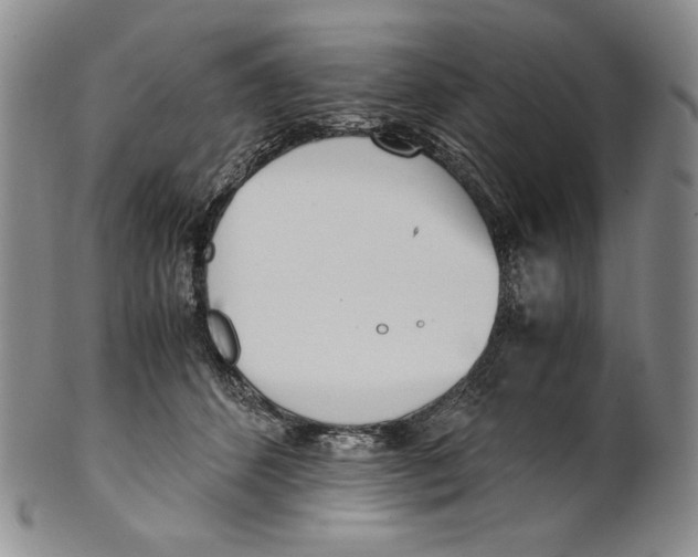 X0000100770512200807101755