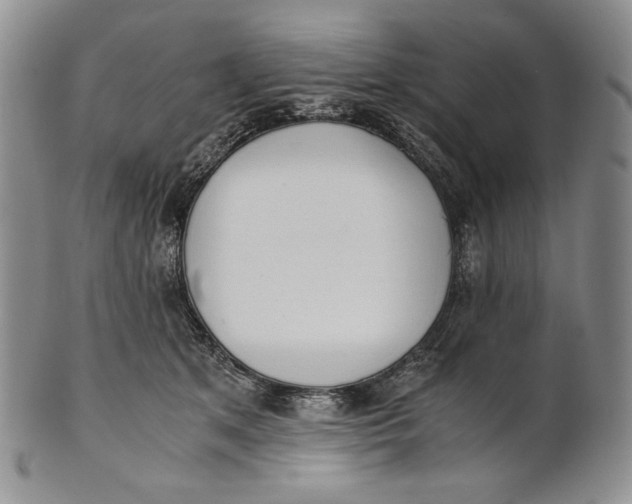 X0000100770513200807101755