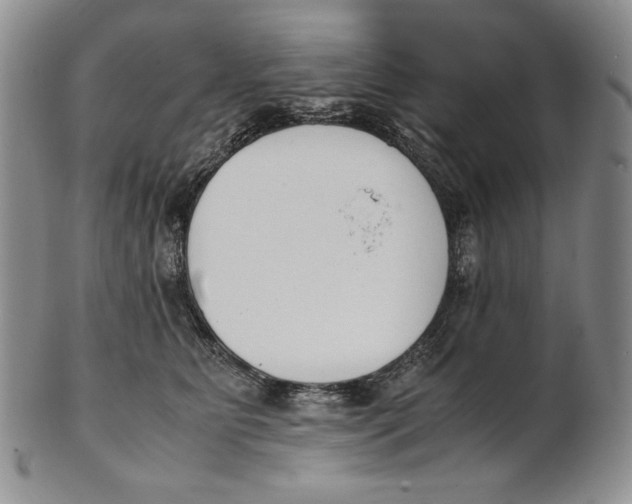 X0000100770515200807101755