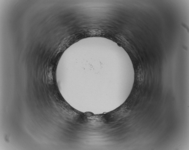 X0000100770516200807101755